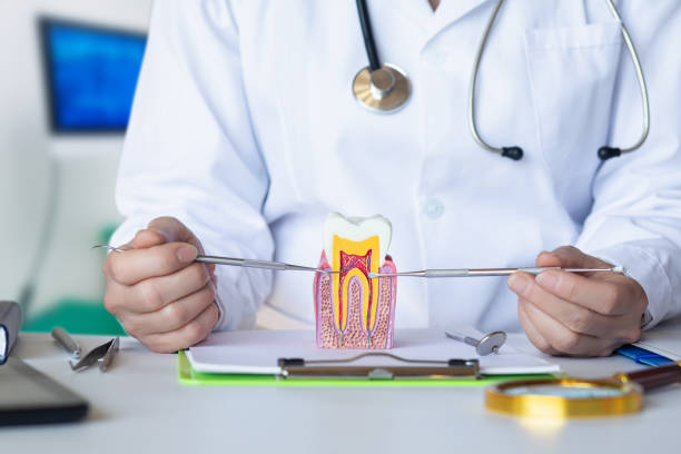 Best Walk-In Emergency Dental Services in Timberlake, VA